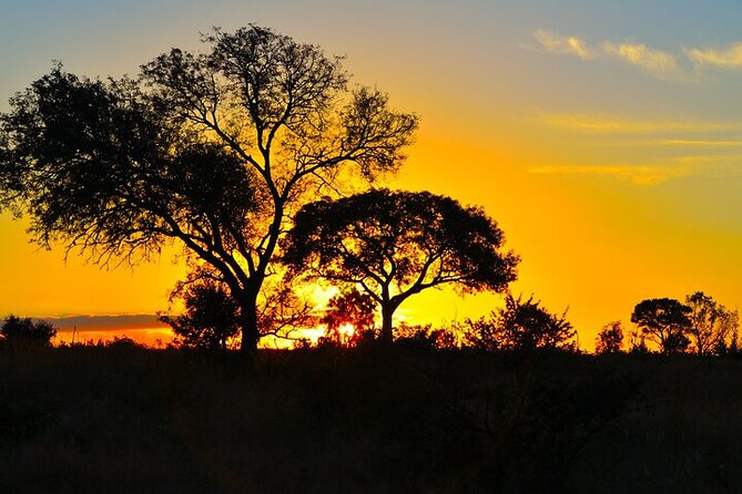 Full-Day Shared Kruger National Park Safari from Hoedspruit - What the $129.80 price includes