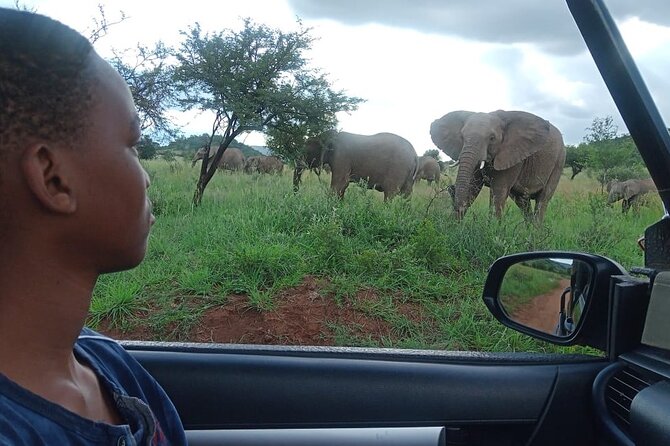 Full Day Ultimate Pilanesberg National Park Safari from Johannesburg or Pretoria - The first open 4x4 drive