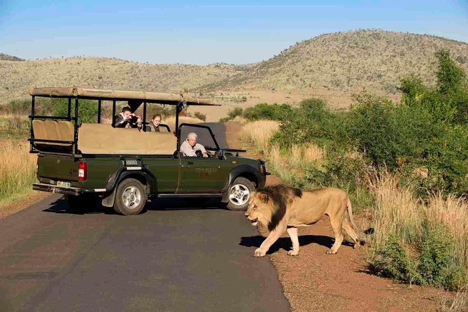 Full Day Ultimate Pilanesberg National Park Safari from Johannesburg or Pretoria - What the $159.89 price really buys