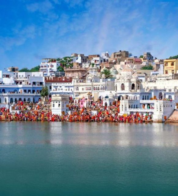 Fullday pushkar tour from jaipur with guid+camel/jeep safari - The long road from Jaipur to Pushkar