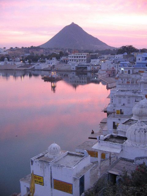 Fullday pushkar tour from jaipur with guid+camel/jeep safari - Returning to Jaipur or staying overnight
