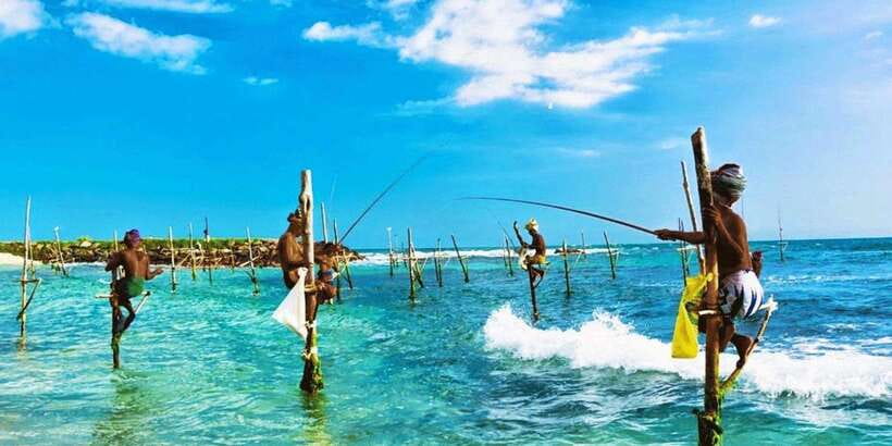 Galle Day Trip - River Safari, Sea Turtle & Stilt Fishermen - Turtle conservation with a useful caution