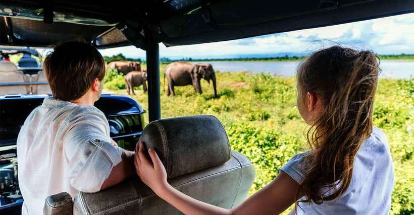 Galle/Mirissa/Hiriketiya: Drop to Ella & Udawalawa Safari - Changing to the Udawalawe safari jeep