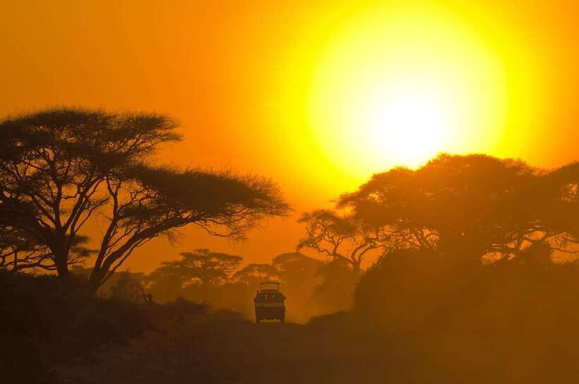 Galle/Mirissa/Hiriketiya: Drop to Ella & Udawalawa Safari - The drive onward to Ella
