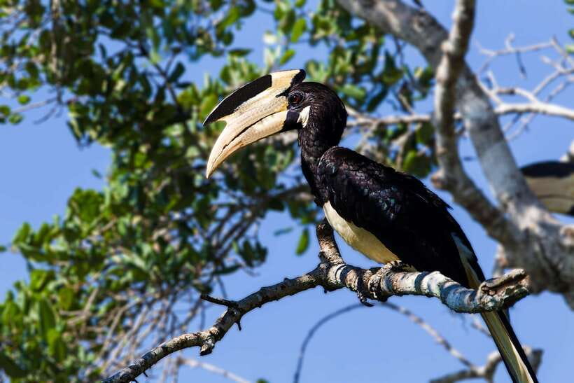 Galle/Mirissa/Tangalle: Transfer to Ella & Yala Safari - How much value do you get for the money?