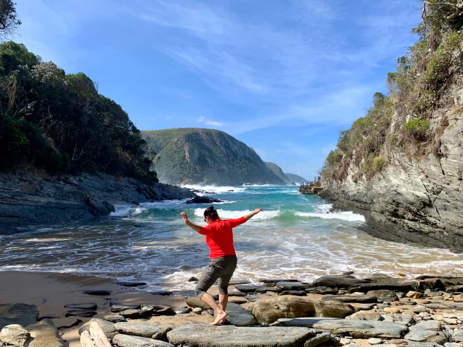 Garden Route and Addo Elephant National Park: 5-Day Safari - Who should book this South Africa tour?
