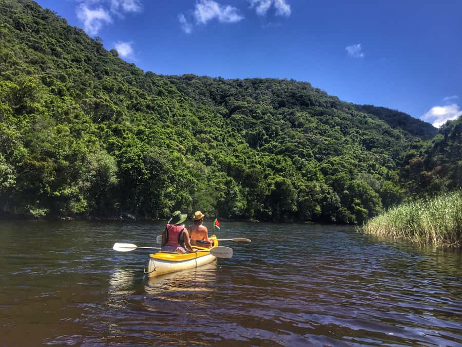 Garden Route and Addo Elephant National Park: 5-Day Safari - Day 1: Penguins, Hermanus, and Africa’s southern tip
