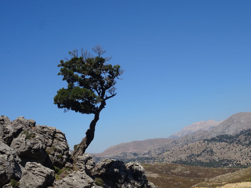 Georgioupolis Full-Day Land Rover Safari Experience - A family tavern lunch above the water