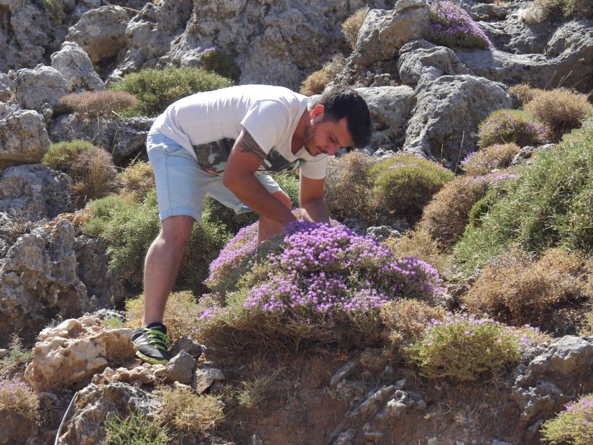 Georgioupolis Full-Day Land Rover Safari Experience - The White Mountains are the main event