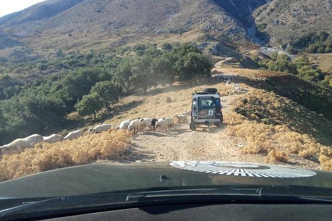 Georgioupolis Safari Off Road Tours Outdoor Activities Land Rover Defender - What the $94.37 price includes