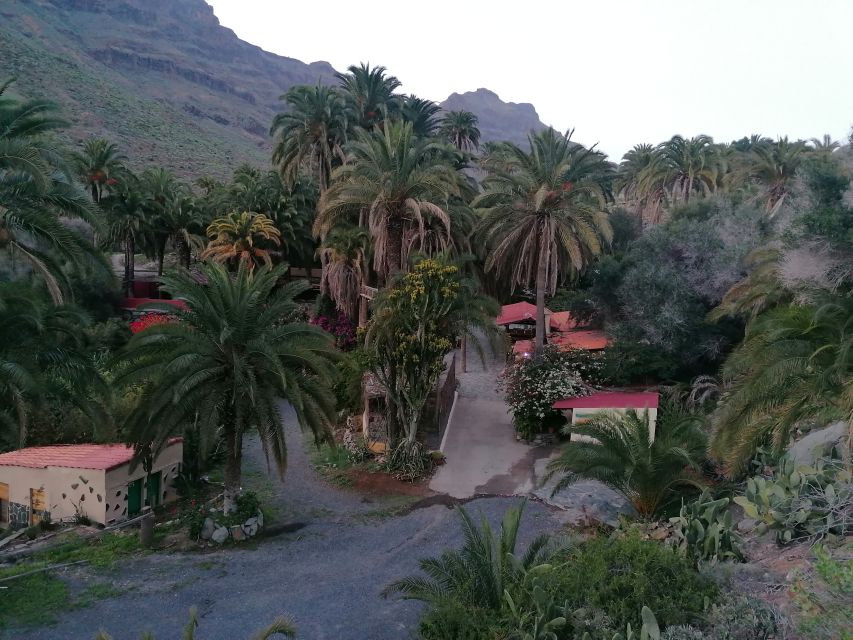 Gran Canaria: Camel Ride at Camel Safari Park - The 30-minute camel ride