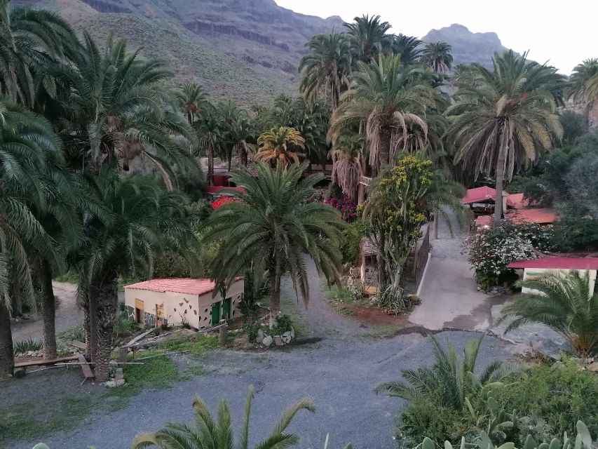 Gran Canaria: Camel Ride at Camel Safari Park - Exploring the animals and tropical garden