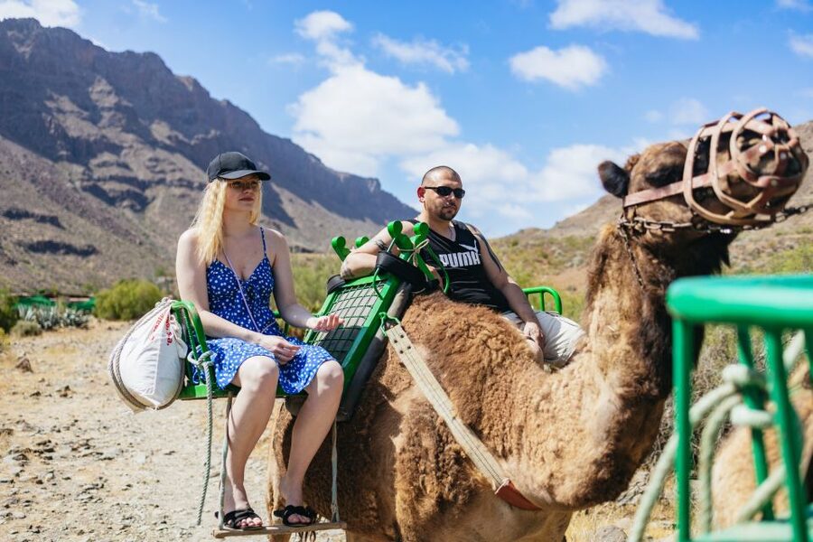 Gran Canaria: Camel Ride Safari w/ Optional Food & Transport - Safety First, Then the Camels