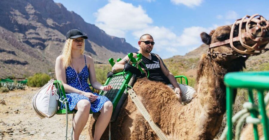 Gran Canaria: Camel Ride Safari w/ Optional Food & Transport - Tropical Gardens, Fruit Trees, and Farm Animals