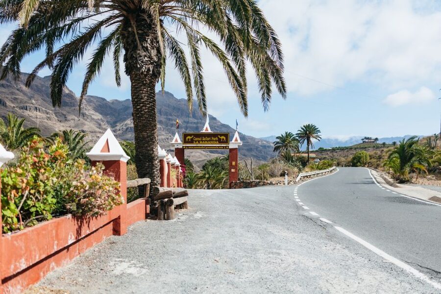 Gran Canaria: Camel Ride Safari w/ Optional Food & Transport - Who Will Enjoy This Most