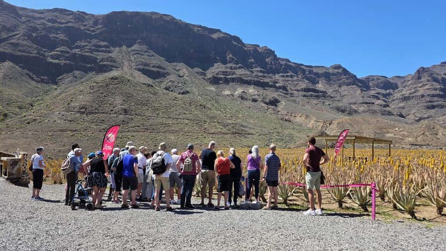 Gran Canaria: Premium Safari 4x4 Tour with Local Guide - Ayacata, a brief village pause