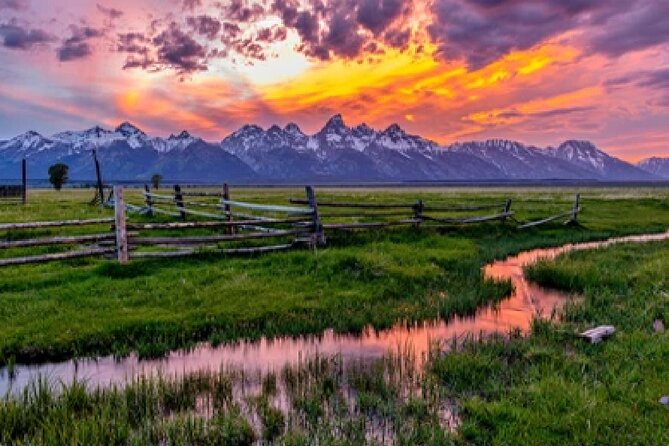 Grand Teton Wildlife Safari in a Enclosed or Open-Air Vehicle (season dependent) - Four hours in Grand Teton with a guide who knows where to look