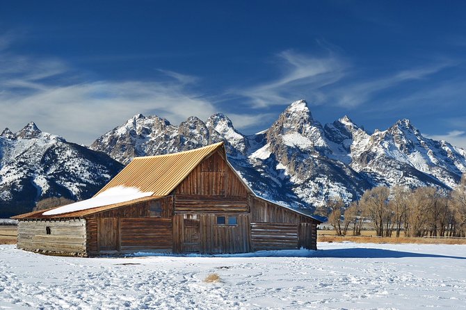 Grand Teton Wildlife Safari in a Enclosed or Open-Air Vehicle (season dependent) - Is the $159 price worth it?
