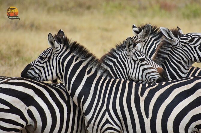 Group Safari 7 Days in Tanzania's Main Parks - Day 7: A final Arusha market visit