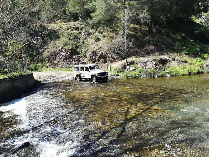 Guided Safari Tour Troodos Mountains and Kykkos Monastery - The forest roads and the old Venetian bridge