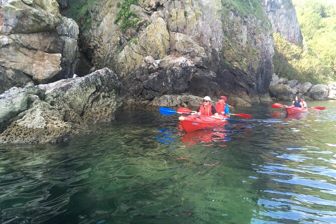 Guided Wildlife and Sea Cave Kayak Safari in English Riviera - Marshmallows by a beach campfire