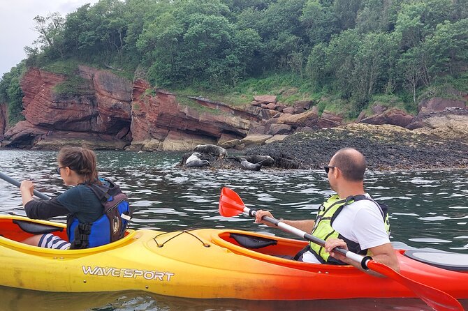 Guided Wildlife and Sea Cave Kayak Safari in English Riviera - What to wear in Devon’s changeable weather
