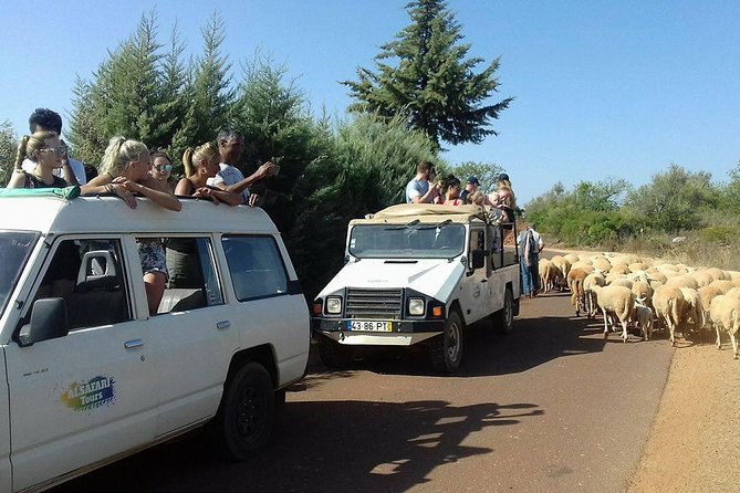 Half-Day Algarve Countryside and Villages Jeep Safari - Seeing the village of Alte