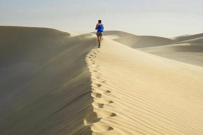 Half Day Desert Safari and Inland Sea - The short camel ride and photo stop