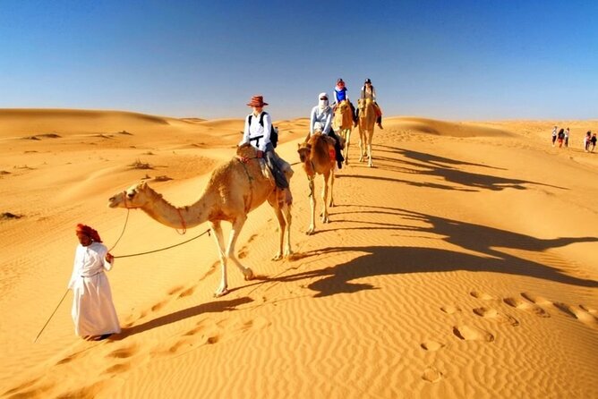 Half Day Desert Safari with Sand Boarding and Camel Ride - A camel ride with a slower pace