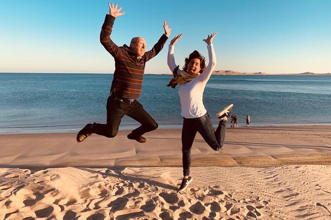 Half Day Desert Safari - Sealine’s camels, falcons, and tire change