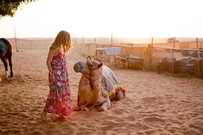 Half-Day Dubai Desert Safari With 7 Live Shows and BBQ Dinner - Sandboarding and the transition to camp