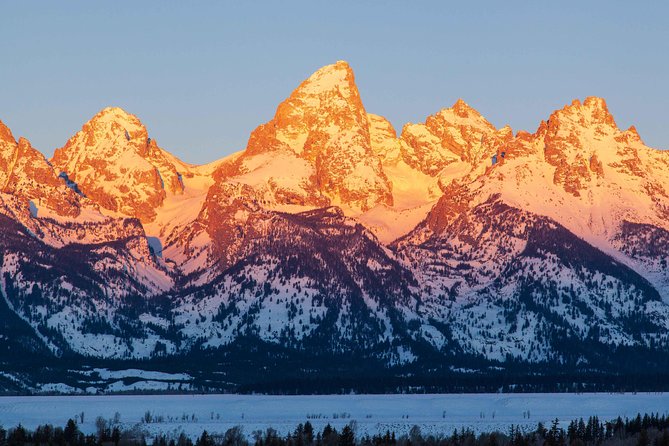 Half Day Grand Teton Wildlife Safari Tour - Guides who make the four hours count