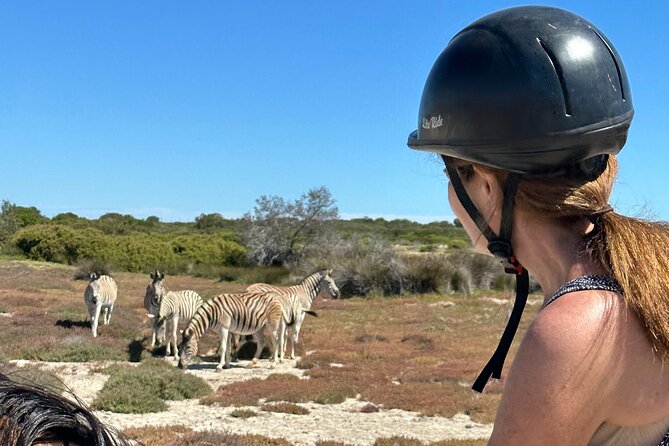 Half day Horse back safari - How beginner-friendly is the riding?