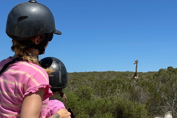 Half day Horse back safari - Is the $60.60 price good value?