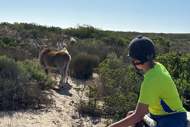Half day Horse back safari - From the farm to !Khwa ttu San Heritage Centre