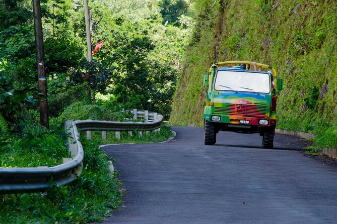 Half Day Jeep Safari - The Botanical Gardens and the Sisserou Parrot
