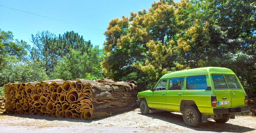 Half-Day Mountain Jeep Safari with firewater tasting - Key points to know before you book