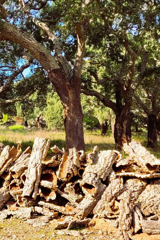 Half-Day Mountain Jeep Safari with firewater tasting - Fóia at 902 meters, the Algarve’s high point
