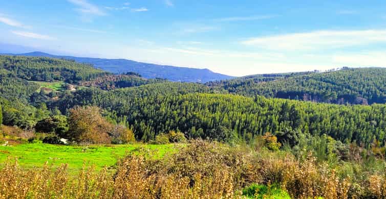 Half-Day Mountain Jeep Safari with firewater tasting - Monchique: the longest and most useful stop
