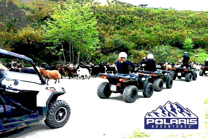 Half-Day Rethymno Quad Safari - Booking, cancellation and practical timing