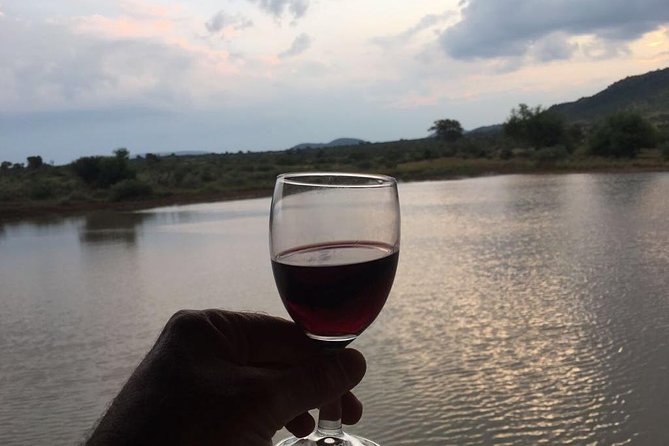 Half day safari from johannesburg - Guides who shape the experience