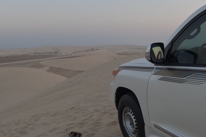 Half Day Safari Tour With Camel Ride and Sand Boarding in Doha - Who will enjoy this four-hour safari