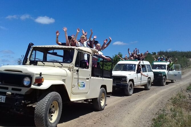 Half Day Safari Tour with Wine Tasting - Comfort, access, and what to bring