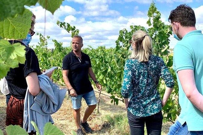 Half Day Safari Tour with Wine Tasting - Is $70.14 a fair price?