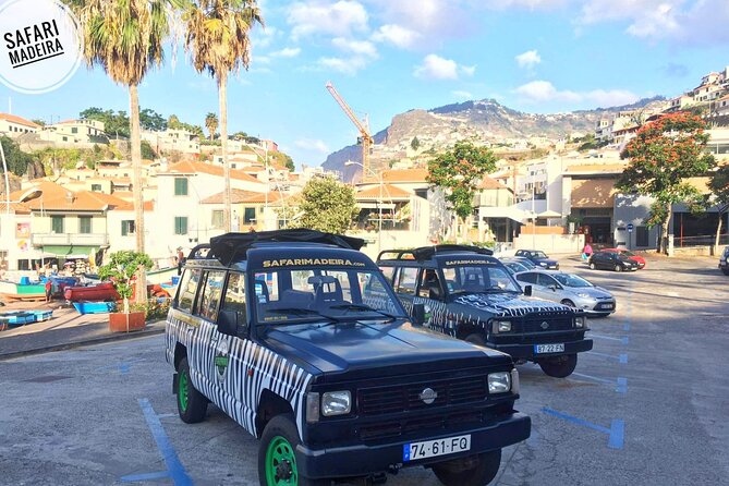 Half-Day Small-Group Madeira Village Safari from Funchal - What this Madeira safari is really like