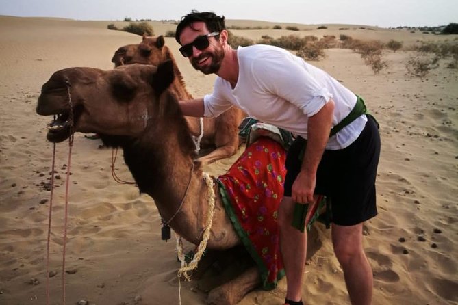 Half-Day Sunset Camel Safari in Rajasthan - Key points to know before you book