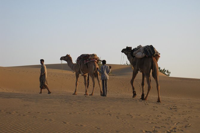 Half-Day Sunset Desert Safari - A Camel Ride to Isolated Dunes
