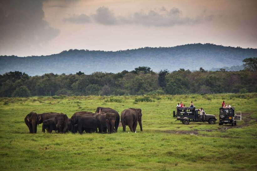 Hambantota Port: Udawalawe Safari Tour & Transit Home Visit - Timing, port pickup, and practical concerns