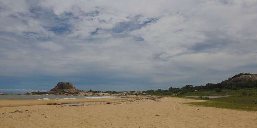Hambantota: Yala National Park Wildlife Safari in a 4x4 - Who will enjoy this safari most