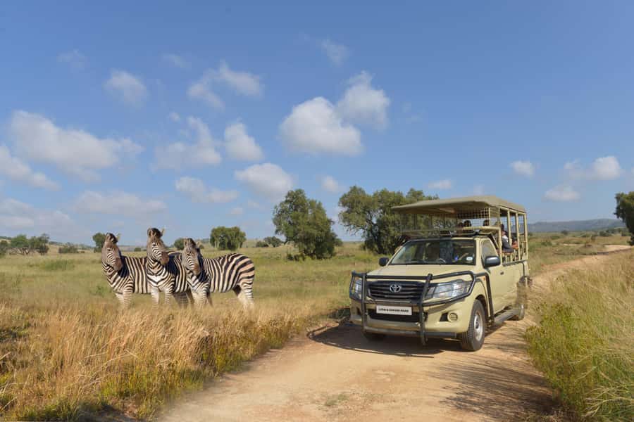 Hartbeespoort: Lion and Safari Park Tour - Hyenas, leopards, and free-roaming antelopes